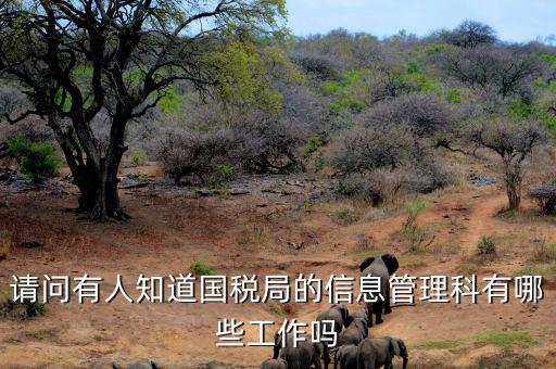 稅務信息崗位主要負責什么，地稅信息中心具體做些什么工作