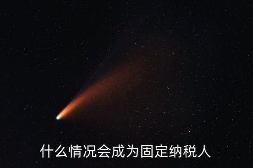 什么是固定納稅人，什么是定額納稅人