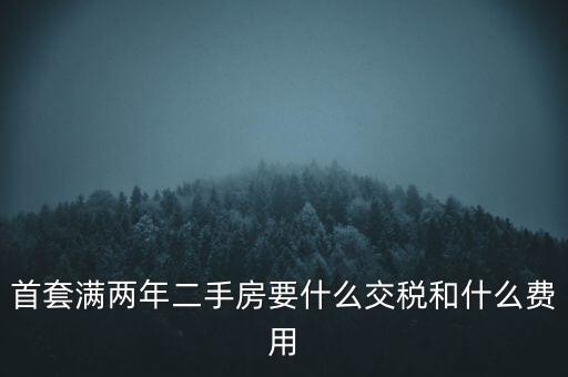 首套滿(mǎn)兩年二手房要什么交稅和什么費(fèi)用