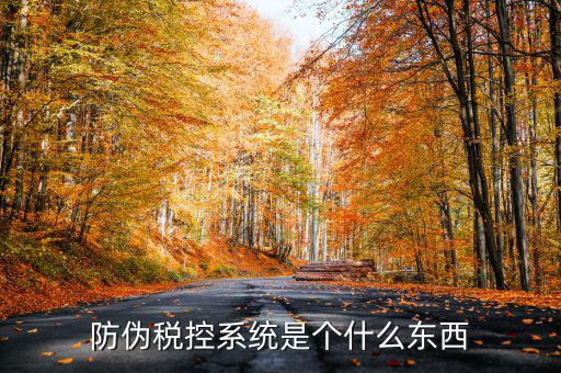 防偽稅控一體化什么時(shí)候，營改增后漢字防偽企業(yè)抄報(bào)稅時(shí)需要使用什么設(shè)備