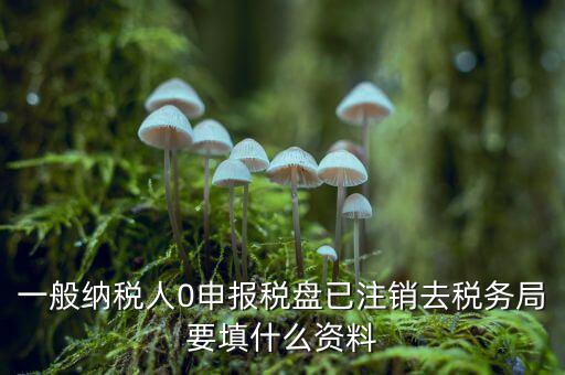注銷金稅盤需要帶什么資料，請問注銷稅務(wù)登記需要提供哪些資料