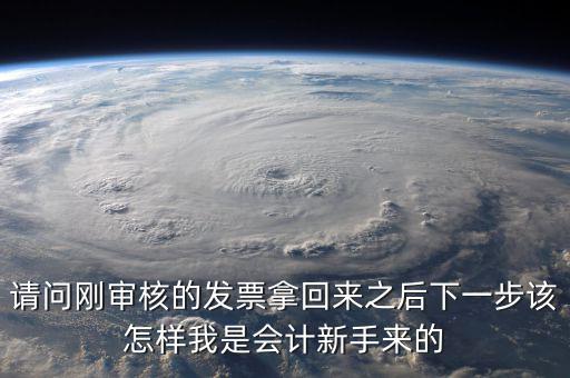 發(fā)票核定完之后接下來做什么，請問剛審核的發(fā)票拿回來之后下一步該怎樣我是會計新手來的