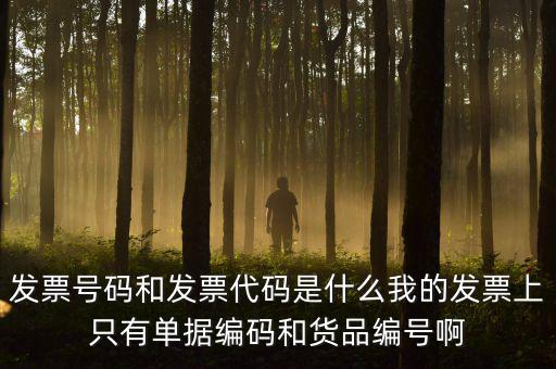 專(zhuān)用發(fā)票號(hào)碼是什么意思，發(fā)票號(hào)碼是什么意思