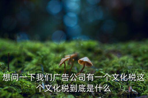 什么是稅務(wù)文化，和諧地稅文化的內(nèi)涵應(yīng)包括哪些方面