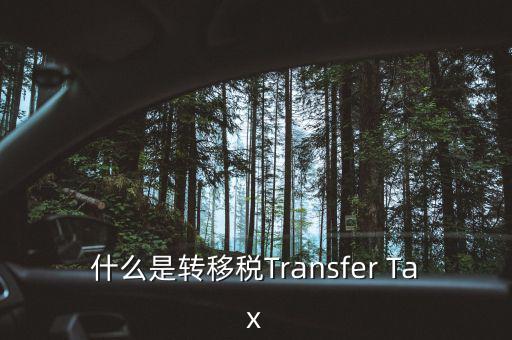 什么是跨地區(qū)稅收轉(zhuǎn)移企業(yè)，什么是轉(zhuǎn)移稅Transfer Tax
