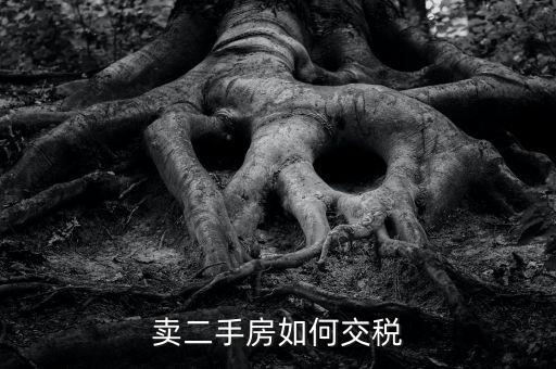 個稅手續(xù)費什么時候反還，我中獎了打了錢過去還說要交個人所得稅才能領獎是真的嗎