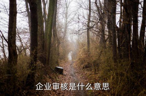 企業(yè)批票是什么意思，生產(chǎn)批次的具體定義是什么