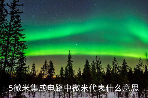 集成電路08微米是什么概念，CPU上說的納米和微米是什么意思呢詳細