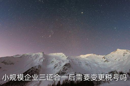 什么情況需要變更稅號，小規(guī)模企業(yè)三證合一后需要變更稅號嗎