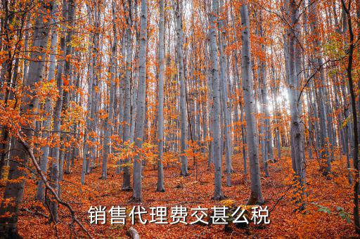 代理費(fèi)繳納什么稅，銷(xiāo)售代理費(fèi)交甚么稅