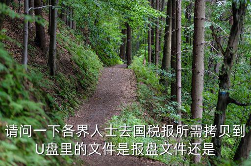 稅務報盤文件是什么，請問一下各界人士去國稅報所需拷貝到U盤里的文件是報盤文件還是