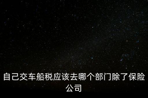 自己交車(chē)船稅應(yīng)該去哪個(gè)部門(mén)除了保險(xiǎn)公司
