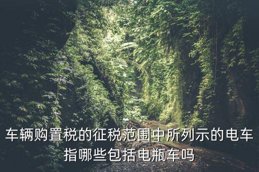 有軌電車征收什么稅，車輛購置稅的征稅范圍中所列示的電車指哪些包括電瓶車嗎