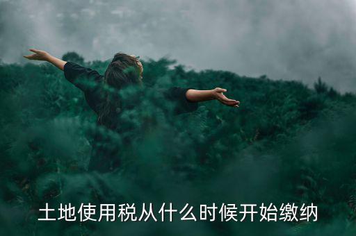 城鎮(zhèn)土地使用稅什么時(shí)候交，房地產(chǎn)開發(fā)企業(yè)繳納城鎮(zhèn)土地使用稅的時(shí)間是多久