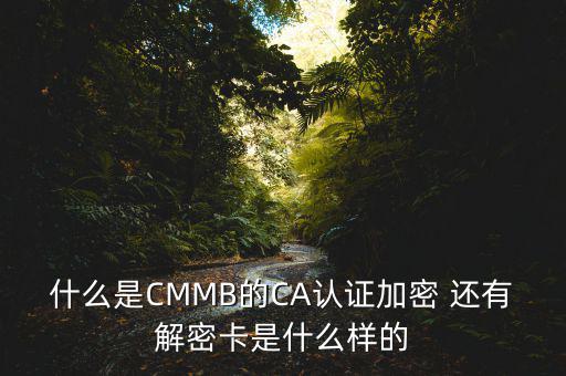 東莞ca證書密碼是什么意思，機構代碼的ca證書的PIN碼是什么我用CA證書登陸國稅時提示詳細