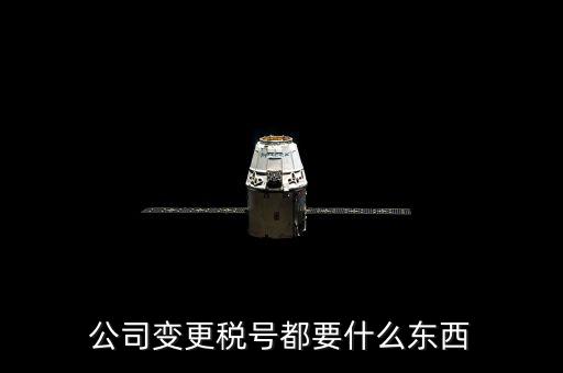 什么情況下變更稅號，公司變更稅號都要什么東西