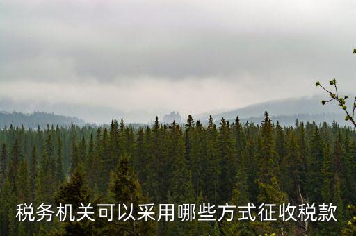 稅務局按什么征收稅務，稅務機關可以采用哪些方式征收稅款