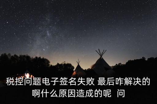 什么是稅控簽名，報(bào)稅時(shí)數(shù)字簽名是甚么意思