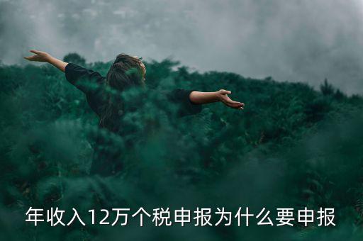 為什么12萬個(gè)稅申報(bào)表，12萬以上個(gè)人所得稅申報(bào)是什么意思
