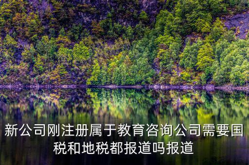 教育咨詢納什么稅，請問從教育事業(yè)的公司要納稅嗎
