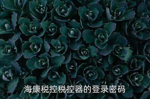 稅控盤 密碼是什么，?？刀惪囟惪仄鞯牡卿浢艽a