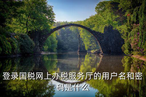 國(guó)稅登錄密碼是什么密碼，國(guó)稅第一次網(wǎng)上申報(bào)的登陸密碼是什么