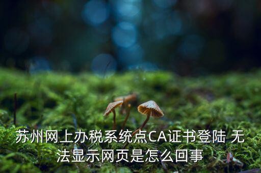 蘇州網(wǎng)上辦稅系統(tǒng)點(diǎn)CA證書登陸 無(wú)法顯示網(wǎng)頁(yè)是怎么回事