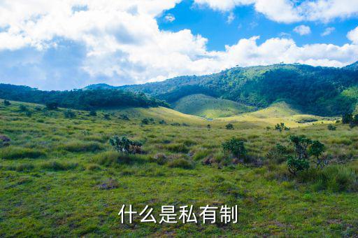 什么是中稅，什么是私有制