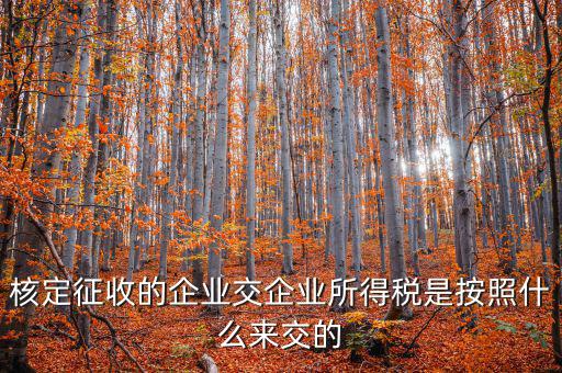 核定稅稅率是按照什么作參照的，稅率按照哪個來定