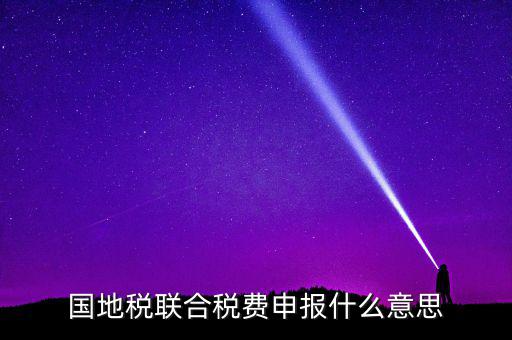 國(guó)稅地稅聯(lián)合有什么用，國(guó)地稅聯(lián)合稅費(fèi)申報(bào)什么意思