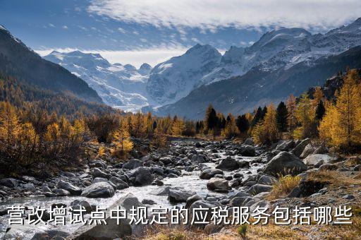 應(yīng)稅服務(wù)中止指什么，小規(guī)模申報表中應(yīng)稅服務(wù)什么意思