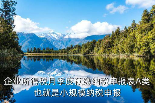 福建預(yù)繳申請(qǐng)表什么格式，企業(yè)所得稅月季度預(yù)繳納稅申報(bào)表A類也就是小規(guī)模納稅申報(bào)