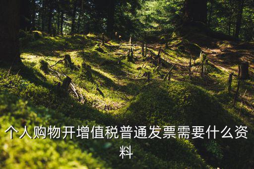 個(gè)人購(gòu)物開增值稅普通發(fā)票需要什么資料
