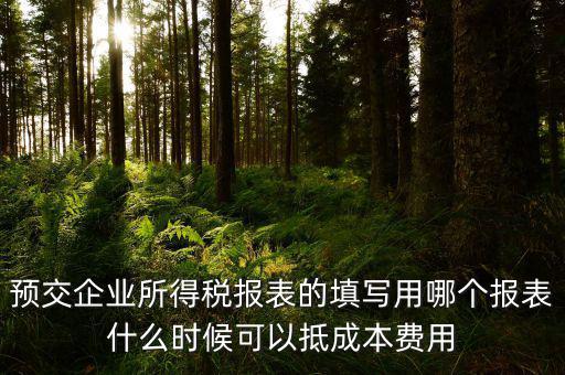 預交企業(yè)所得稅報表的填寫用哪個報表什么時候可以抵成本費用