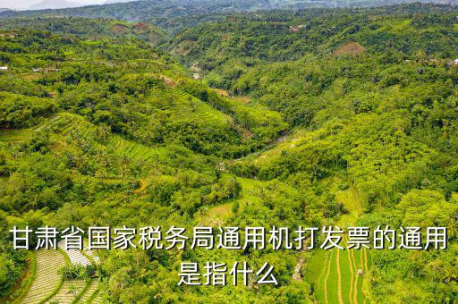 山西省稅務(wù)局六最是指什么，甘肅省國(guó)家稅務(wù)局通用機(jī)打發(fā)票的通用是指什么