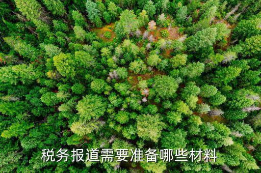 去國稅報道需要拿什么手續(xù)，剛申請的公司到稅務局報道需要手續(xù)