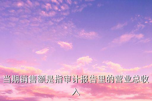 當(dāng)期銷售額是指審計(jì)報(bào)告里的營業(yè)總收入