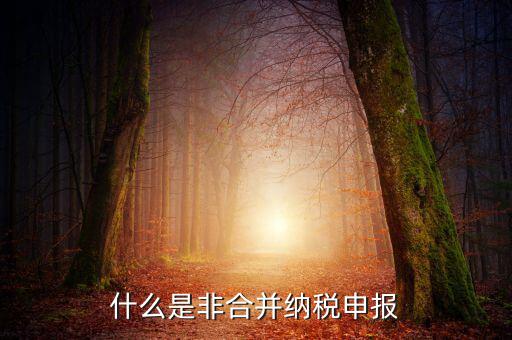 什么是非匯總納稅企業(yè)，什么是跨區(qū)經(jīng)營(yíng)匯總納稅企業(yè)