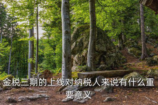 金三稅系統(tǒng)什么時間上線的，2016年金稅三期上線那金稅三期到底是啥呢