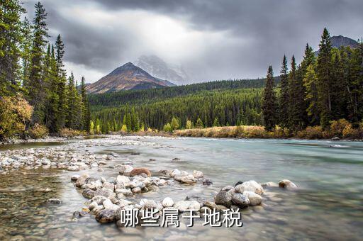 什么是地教稅，印花稅土地使用稅請(qǐng)問(wèn)酒店要交地教稅土地使用稅是什