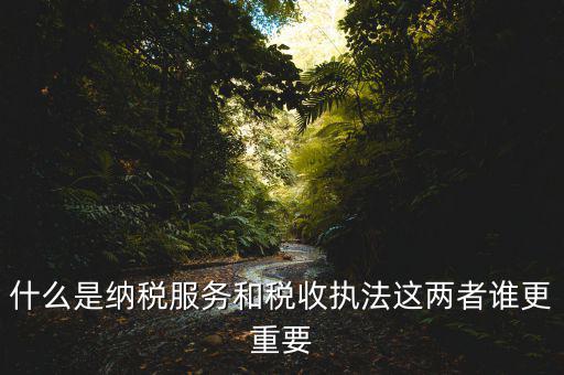 什么是納稅服務，什么是納稅服務和稅收執(zhí)法這兩者誰更重要