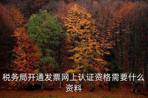 稅務(wù)局開(kāi)通發(fā)票網(wǎng)上認(rèn)證資格需要什么資料
