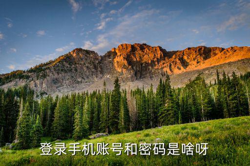 手機(jī)廣東國稅登陸密碼是什么意思，手機(jī)登陸密碼是什么密碼