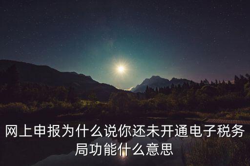 電子稅務(wù)局是干什么，企業(yè)金稅盤系統(tǒng)用來開票抄稅報稅用那登錄國稅地稅局網(wǎng)站是干嘛的