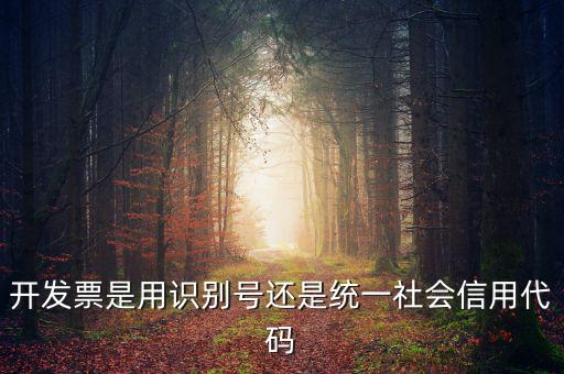 發(fā)票填寫統(tǒng)一社會(huì)代碼是什么，開(kāi)發(fā)票要的稅號(hào)是統(tǒng)一社會(huì)代碼證號(hào)嗎