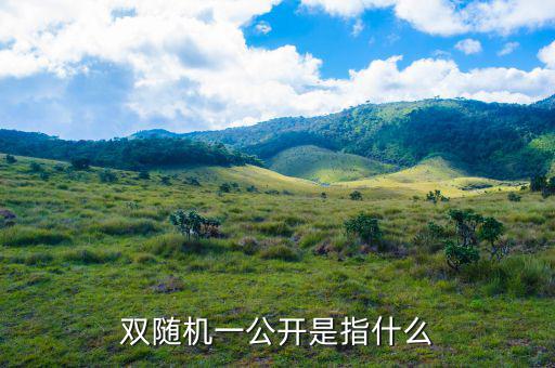 稅務(wù)雙隨機(jī)一公開(kāi)是什么意思，雙隨機(jī)一公開(kāi)屬于什么用語(yǔ)比如習(xí)語(yǔ)標(biāo)語(yǔ)或者成語(yǔ)之類的因?yàn)?/></a></span><span id=