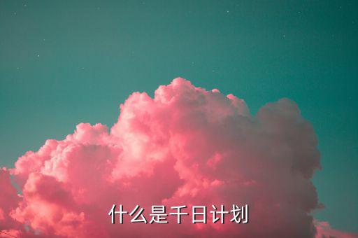 千戶集團(tuán)計(jì)劃 是什么，什么是千日計(jì)劃
