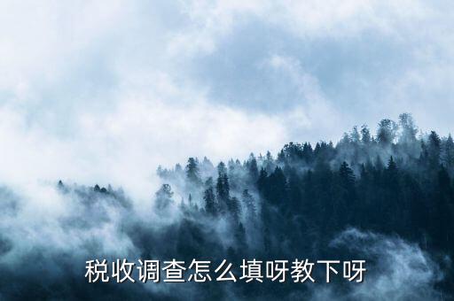 稅收調(diào)查主要調(diào)查什么，企業(yè)所得稅稅收調(diào)查