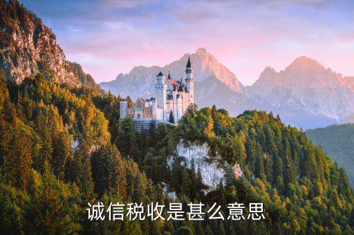什么是誠信納稅，依法誠信納稅共建小康社會(huì)是對(duì)的嗎
