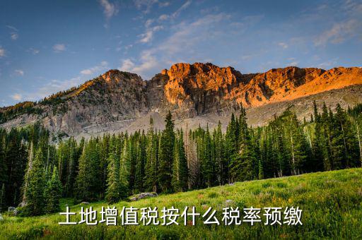 山東省土地增值稅按什么預繳，山東文登市土地增值稅預繳稅率是多少